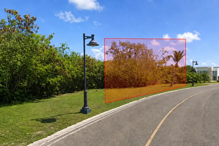 Curved road through a tropical park with dense green shrubs and a few palm trees; a red outline highlights a tree cluster along the curb.