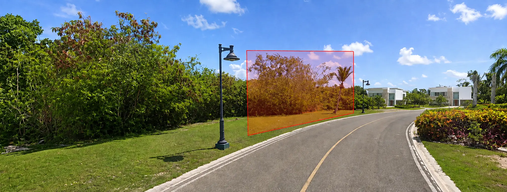 Curved road through a tropical park with dense green shrubs and a few palm trees; a red outline highlights a tree cluster along the curb.